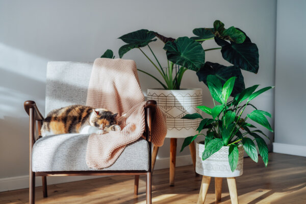 Making Space for a Better Life: A Conversation With Decluttering Expert April Tandy