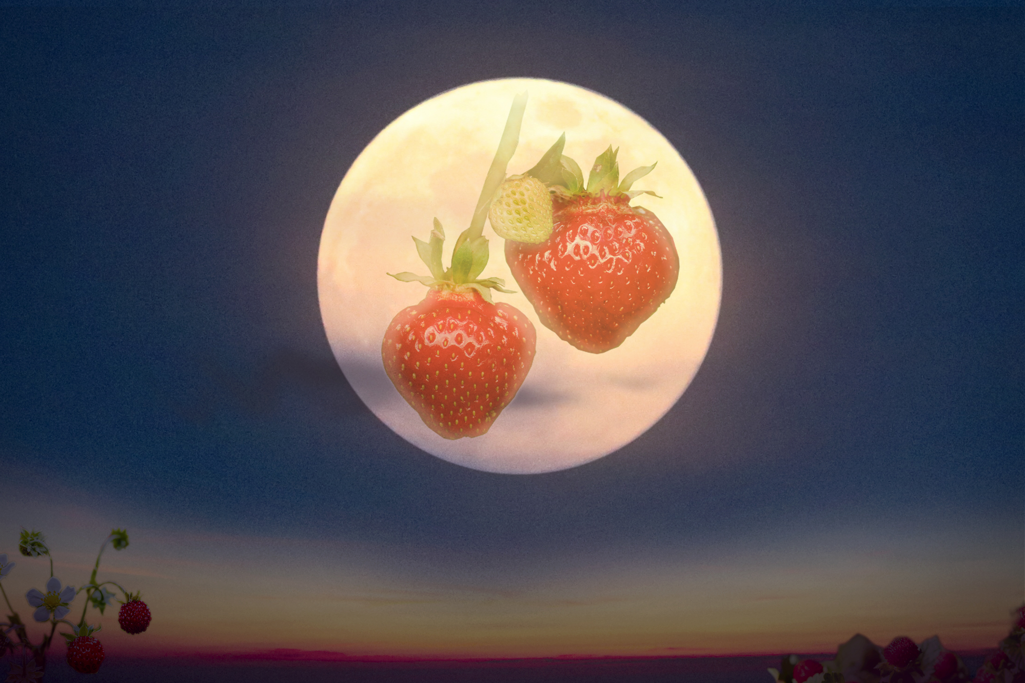 The Full 'Harvest Moon' in October Will Be the Biggest Supermoon