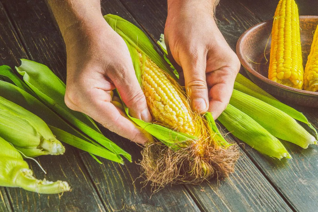 Corn provides a wide range of health benefits, including supporting eye and kidney function and helping to manage high blood pressure, blood sugar, and cholesterol levels. (VITALII BORKOVSKYI/Shutterstock)