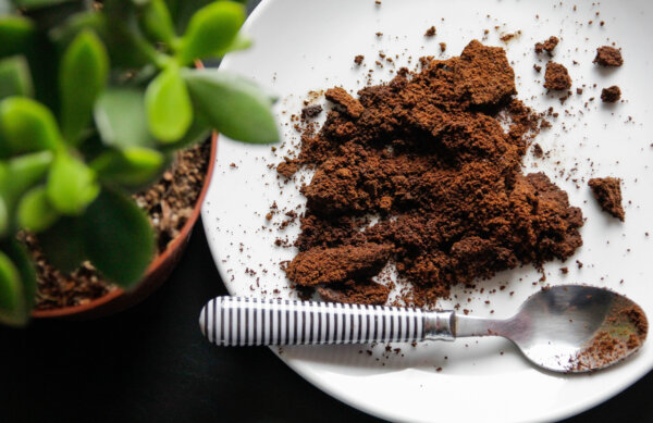 Capable Coffee Grounds: Uses Beyond the Morning Cuppa   