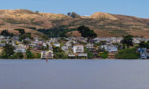 Take a Pet-Friendly Foodie Day Trip to Bodega Bay