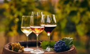 Wine-Food Matches
