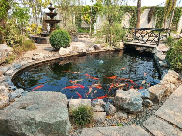Water Garden Gravel: Yes or No?