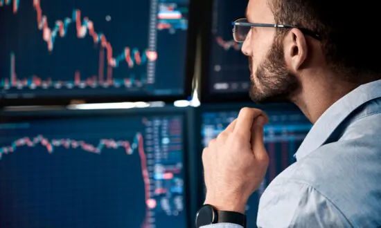 Poking the Bear: What to Invest in During a Bear Market