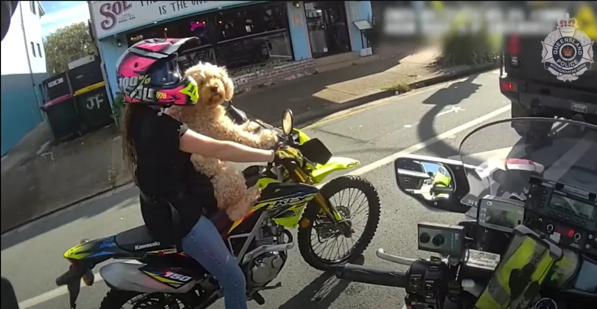 Screenshot of a video from the Queensland Police Service of a woman riding a motorcycle with a dog strapped to her chest. (Screenshot/Queensland Police Service footage)