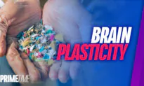 Study Finds Enough Plastic in Human Brain to Make a Spoon, Could Be Leading to Depression: BONUS SEGMENT | NTD Primetime