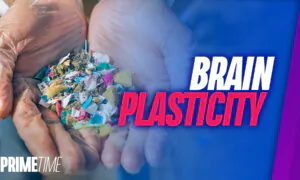 Study Finds Enough Plastic in Human Brain to Make a Spoon, Could Be Leading to Depression: BONUS SEGMENT | NTD Primetime