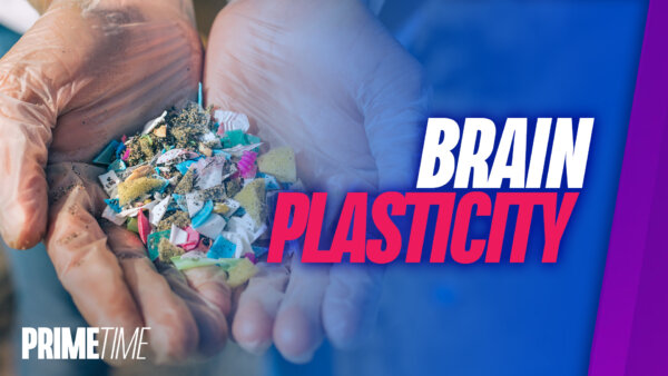 Study Finds Enough Plastic in Human Brain to Make a Spoon, Could Be Leading to Depression: BONUS SEGMENT | NTD Primetime