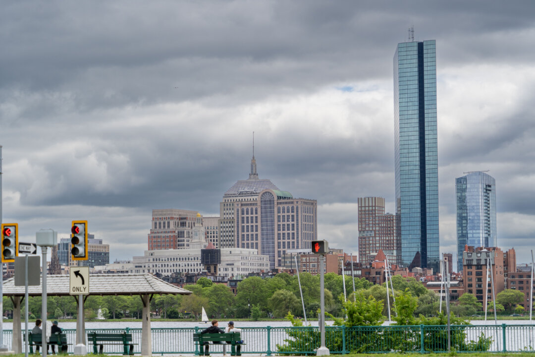 Boston Hosts 2nd National Urban Rat Summit