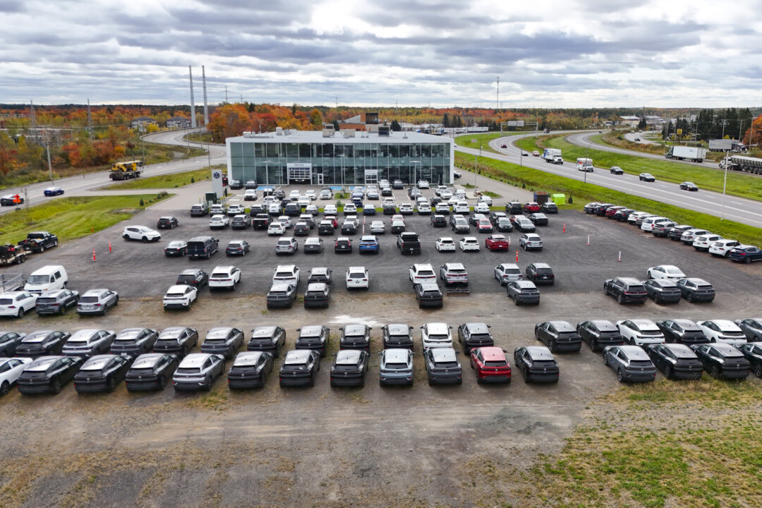 Ford, Volkswagen Recall Vehicles for Camera Issues
