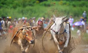 Good Sports: NTD Announces Sports Photography Award