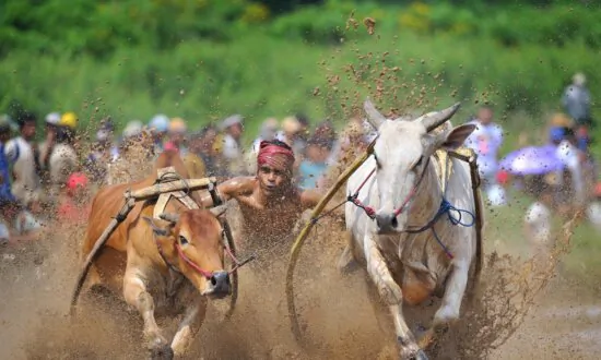 Good Sports: NTD Announces Sports Photography Award