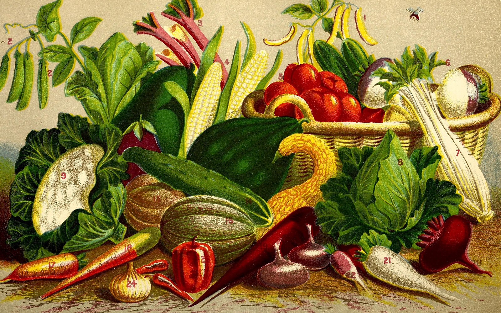 Garden Seeds Vicks
