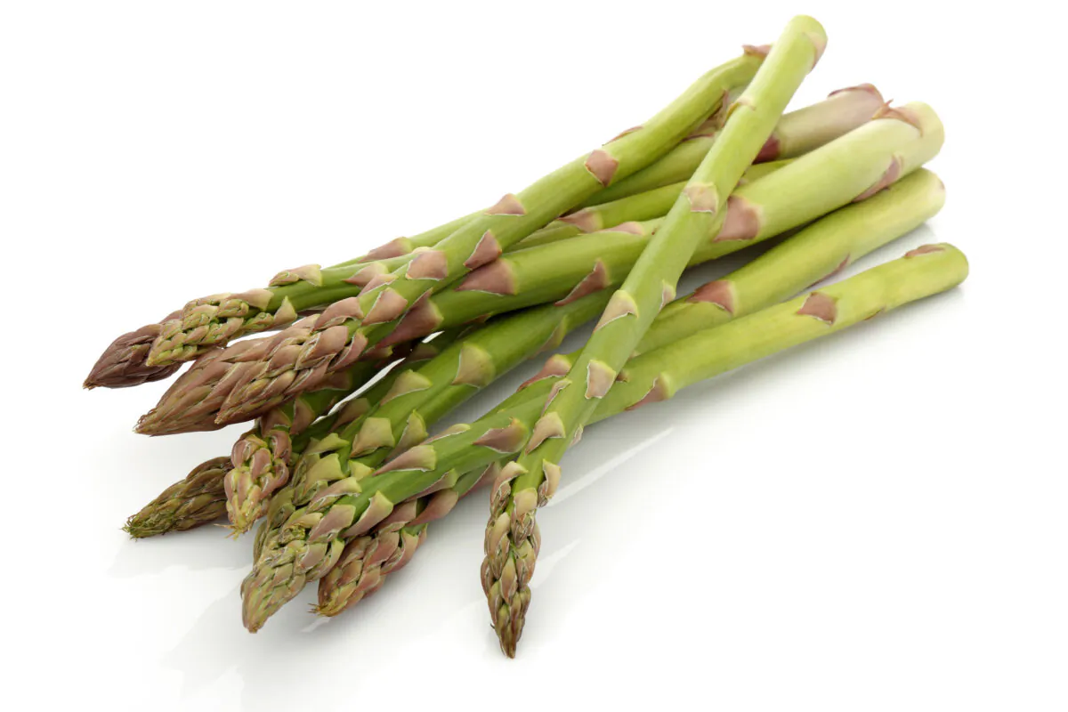 To prepare asparagus, snap off and discard the toughest part of the stalk. Then store the stalks like cut flowers in a glass of water and tent with a plastic bag before storing in the fridge. (Nevinates/Dreamstime/TNS)