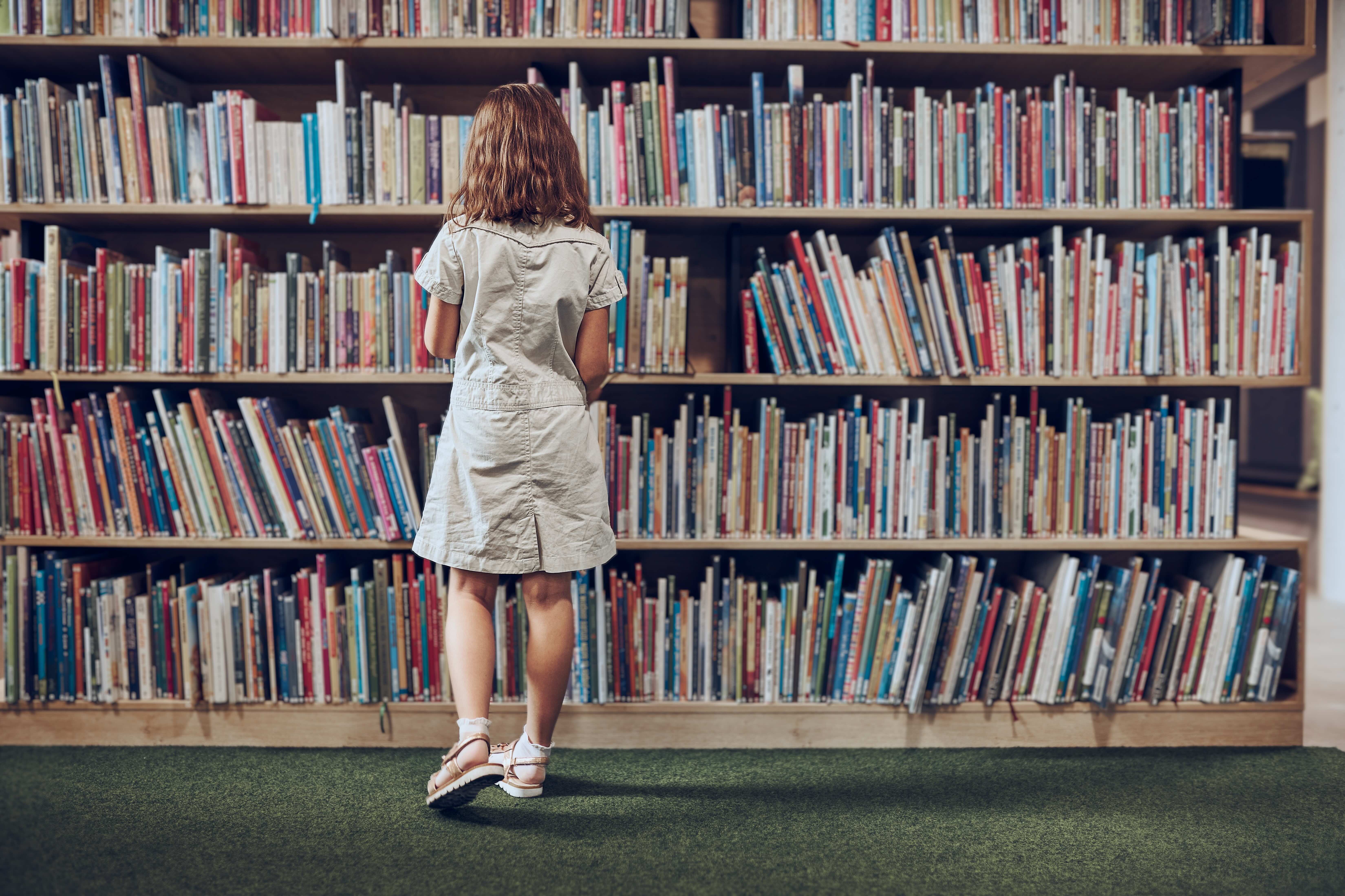 Inside the Push for Stronger Safeguards on Sexually Explicit Content in Canadian School Libraries