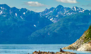 How to Visit Glacier Bay National Park