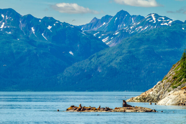 How to Visit Glacier Bay National Park