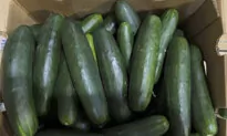 Salmonella Outbreak Linked to Recalled Cucumbers Sickens Dozens Across 18 States