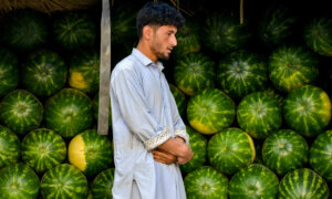 World Bank Issues Grim Global Economy Report | Business Matters (June 10)