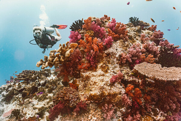 Lessons Learned From the World’s Remotest Islands