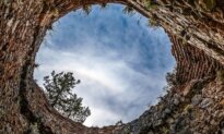The Steep Price of Declining Civility