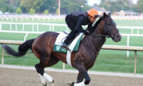 Horses, Favorites, Longshots—What to Know About Saturday’s Breeders’ Cup Classic