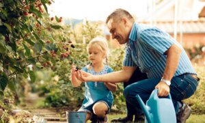 ‘Blackberries for Amelia’: A Poem for Summer by Richard Wilbur