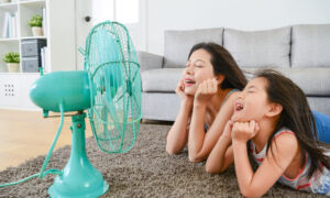 Staying Cool for Less in a Home Without Air Conditioning