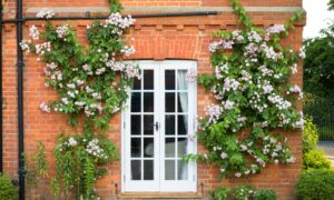 How to Decide Whether to Keep, Rent, or Sell Your Inherited Property