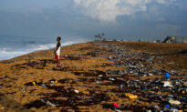 Day in Photos: Pollution on the Ivory Coast, Forest Fires in Israel, and Elephant Island