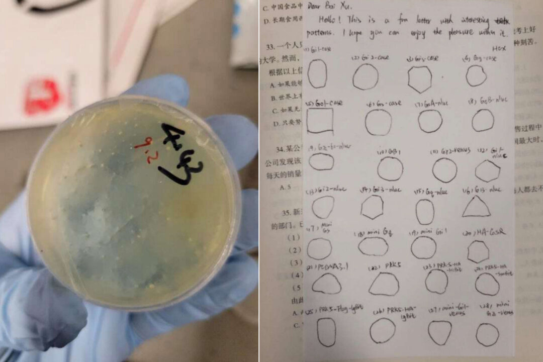 Wuhan Researcher Charged With Smuggling Biological Materials Into US Lab