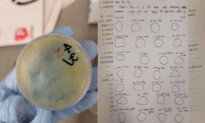 Wuhan Researcher Charged With Smuggling Biological Materials Into US Lab