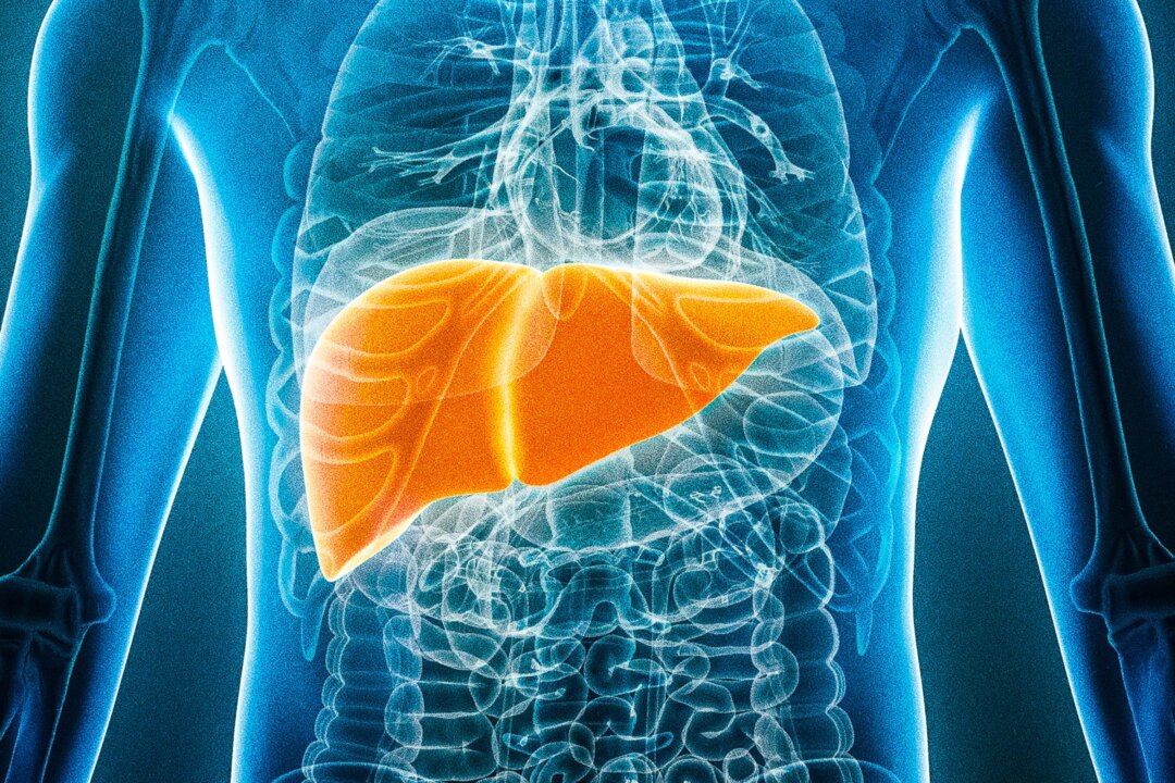 To prevent liver cancer, it is important to avoid carcinogens and follow a diet that supports liver health. (MattL_Images/Shutterstock)