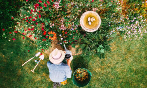 Prepping the Garden for Vacation