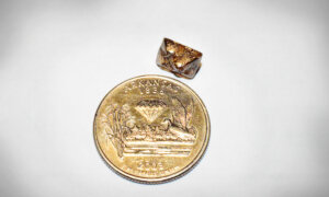 Minnesota Man Finds 3.81-Carat Diamond in Arkansas’ Famous Volcanic Crater Park