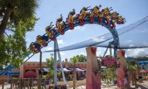 Here’s What Is New at Central Florida Attractions This Summer, From Science to Parades to Rides to Sea Creatures