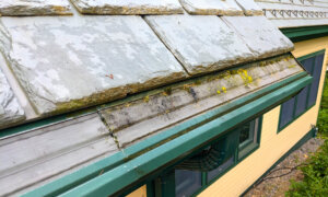 Ask the Builder: Gutter Guard Facts You Need to Know
