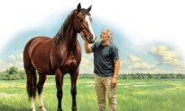 How to Talk to Your Horse