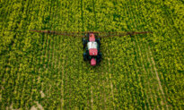 Occupational Exposure to Pesticides Linked to Higher Risk of ALS, Study Finds