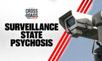 Is Mass Surveillance Making Us Crazy?