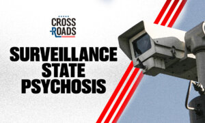Is Mass Surveillance Making Us Crazy?