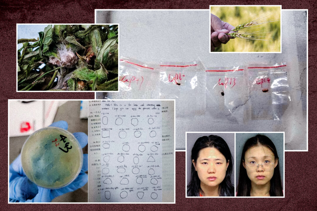 NextImg:Arrests of Chinese Scientists Highlight Biowarfare Threat to US