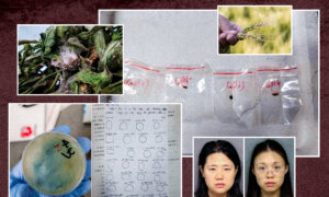Arrests of Chinese Scientists Highlight Biowarfare Threat to US