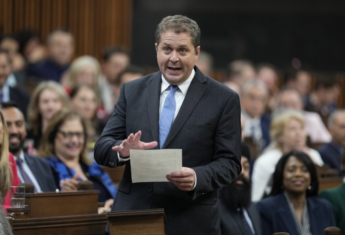 Interim Opposition Leader Andrew Scheer rises during question period in the House of Commons in Ottawa, on June 4, 2025. (The Canadian Press/Adrian Wyld)