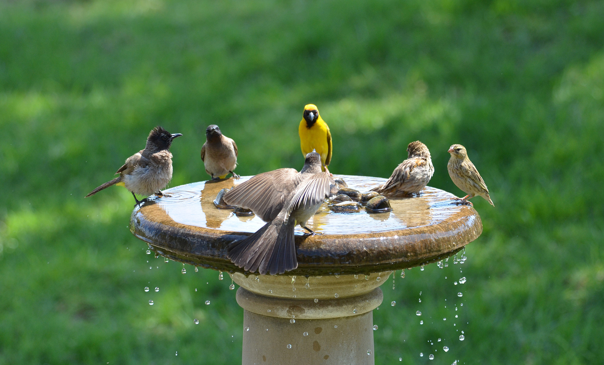 Epoch Times Photo