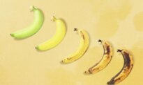What a Banana’s Color and Spots Reveal