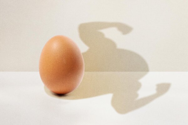 Eggs Strengthen Muscles and Help Prevent Sarcopenia—How Many Should You Eat