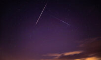 Delta Aquariids and Other Summer Meteors Will Crisscross in the Night Sky in July—What to Know