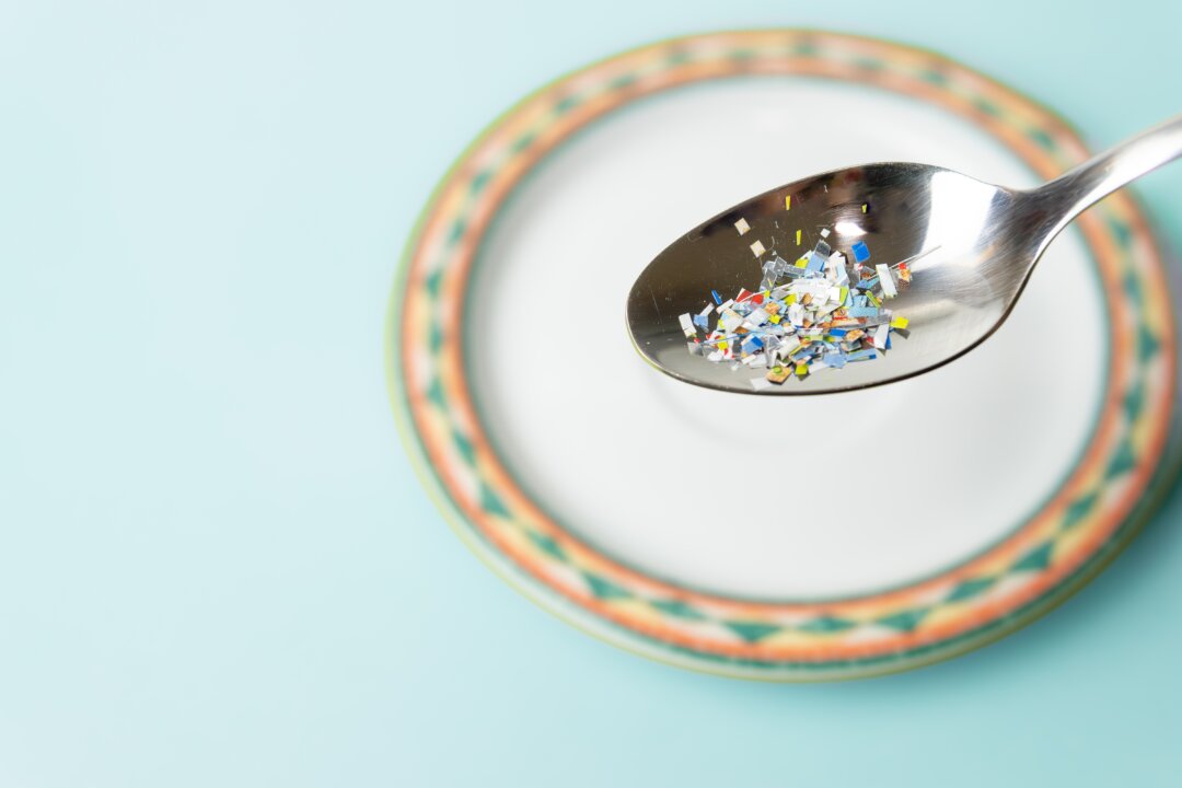 Invisible Threats to the Brain: How Common Foods May Accelerate Dementia