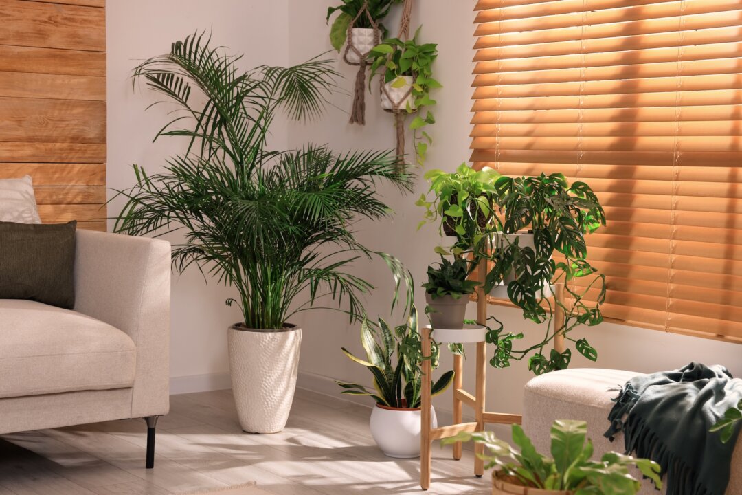 7 Pleasantly Surprising Reasons to Decorate With Houseplants | The ...